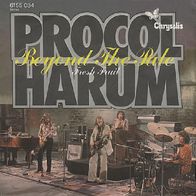 Procol Harum - Beyond The Pale / Fresh Fruit - 7" - Chrysalis 6155 034 (D) 1975