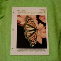 Monarchfalter - Informationskarte über