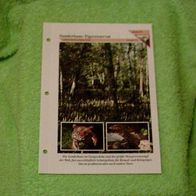 Sunderbans-Tigerreservat - Informationskarte über