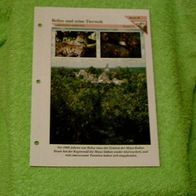 Belize und seine Tierwelt - Informationskarte über