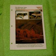 Die Sibirische Taiga und ihre Tierwelt - Informationskarte über