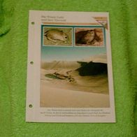 Die Wüste Gobi und ihre Tierwelt - Informationskarte über
