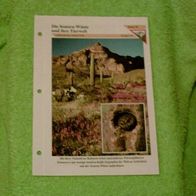 Die Sonora-Wüste und ihre Tierwelt - Informationskarte über