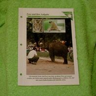 Zoos und ihre Aufgabe - Informationskarte über