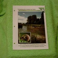 Erhaltung des Lebens im Teich - Informationskarte über