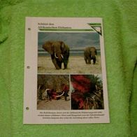 Schützt den Afrikanischen Elefanten - Informationskarte über