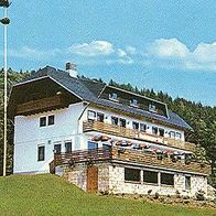 79875 Dachsberg Hotel - Pension Dachsberger Hof