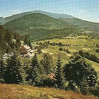 79692 Kleines Wiesental - Neuenweg - Schönau Gasthof Pension Haldenhof