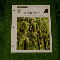 Kaiserstuhl / Deutschlands wärmste Gegend - Infokarte