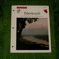 Oderbruch / Vom Sumpfland zum Gemüsegarten - Infokarte