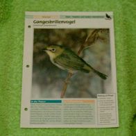 Gangesbrillenvogel - Informationskarte über