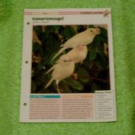 Kanarienvogel - Informationskarte über