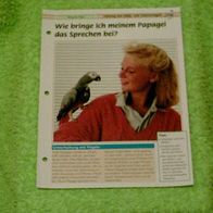 Wie bringe ich meinem Papagei das Sprechen bei? - Infokarte über