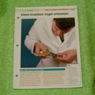 Einen kranken Vogel erkennen - Infokarte über