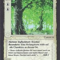 Middle Earth CCG (MECCG) - Der Alte Wald - METW