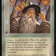 Middle Earth CCG (MECCG) - The Grey Hat - MEWH