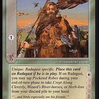 Middle Earth CCG (MECCG) - Pocketed Robes - MEWH