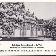 Paicos II Frühling am Schloß Sanssouci in Potsdam Nr 49