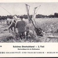 Paicos II Getreideernte in Schlesien Nr 179