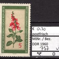 DDR 1960 Einheimische Heilpflanzen MiNr. 757 postfrisch