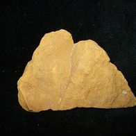 Jaspis Rohstein CSSR -Rohsteine-Mineralien-Heilsteine-Edelsteine-