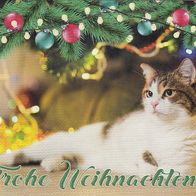 271 AK Frohe Weihnachten Katze unterm Weihnachtsbaum