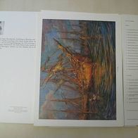 Egbert Patzig: Bilder aus Licht und Farbe Mappe mit 24 Bildtafeln Nr. 1526