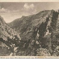 alte AK Harz vor 1945, vom Hirschgrund zu Roßtrappe Königsruh Hexentanzplatz