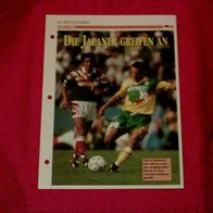 Die Japaner greifen an (1993-1994) / Infokarte über...