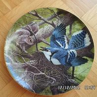 The National Audubon Society - Sammlerteller - A.J. Rudisill - Limoges Porcelain