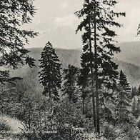 alte AK Hahnenklee Harz , Partie im Granetal um 1960