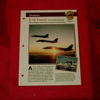 F-14 Tomcat Flottenverteidigung (Grumman) - Infokarte über