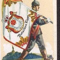 Fahne des Landwehr Regiments No 55 I. Bat Lippe Nr 386