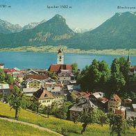 A 5360 Sankt Wolfgang am Wolfgangsee Panorama