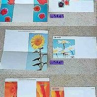 3 Doppel-Briefpostkarten - sehr schöne Motive