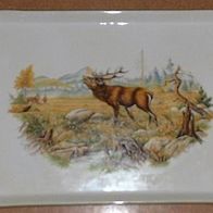 Porzellan Platte Schwarzenhammer mit farbigem HIRSCH & Rehe Motiv RAR!