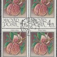 BM008) Ungarn Mi. Nr. 3852A Viererblock gest. Pfirsiche