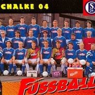 Panini CARD 94 Mannschaft Team FC Schalke 04 MK Sammelkarte Deutschland Trading