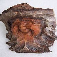 Alter, handgeschnitzter Holz-Relief-Kopf, Wandschmuck Nr. 1