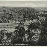 alte AK Rengsdorf Westerwald, Blick auf das Völkerwiesental