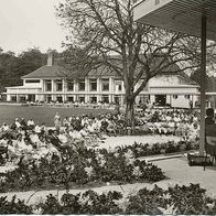 alte AK Bad Dürrheim 1964, im Kurgarten