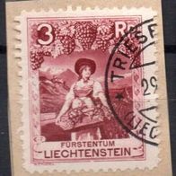 Liechtenstein gestempelt Michel 94