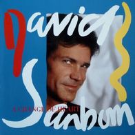 David Sanborn - A change of heart