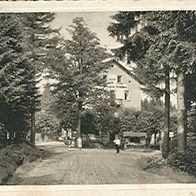 95632 Wunsiedel im Fichtelgebirge Sommerfrische Waldlust 1931 , Luisenburg