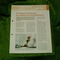 Die Skagerrakschlacht - das Gefecht der Schlachtkreuzer - Infoblatt