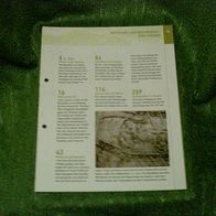 Wettstreit auf den Meeren - 6 n. Chr. bis 368 - Infoblatt