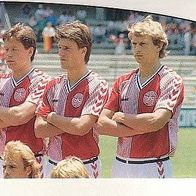 Panini Fussball Euro 1988 Teilbild Mannschaft Danmark Nr 100