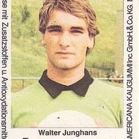 Americana Fußball Bundesliga Stars 1980 Walter Junghans FC Bayern München Nr 7