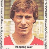Americana Fußball Bundesliga Stars 1980 Wolfgang Wolf 1 . FC Kaiserslautern Nr 63