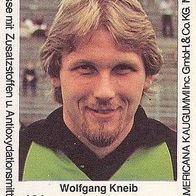 Americana Fußball Bundesliga Stars 1980 Wolfgang Kneib Bor. Mönchengladbach Nr 121